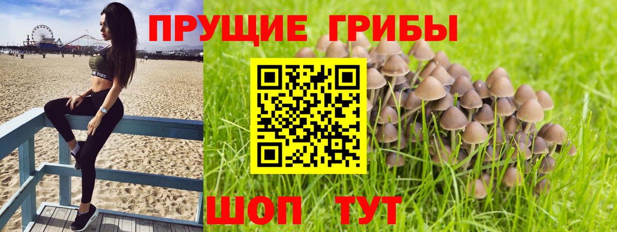 Псилоцибиновые грибы MAGIC MUSHROOMS Королёв
