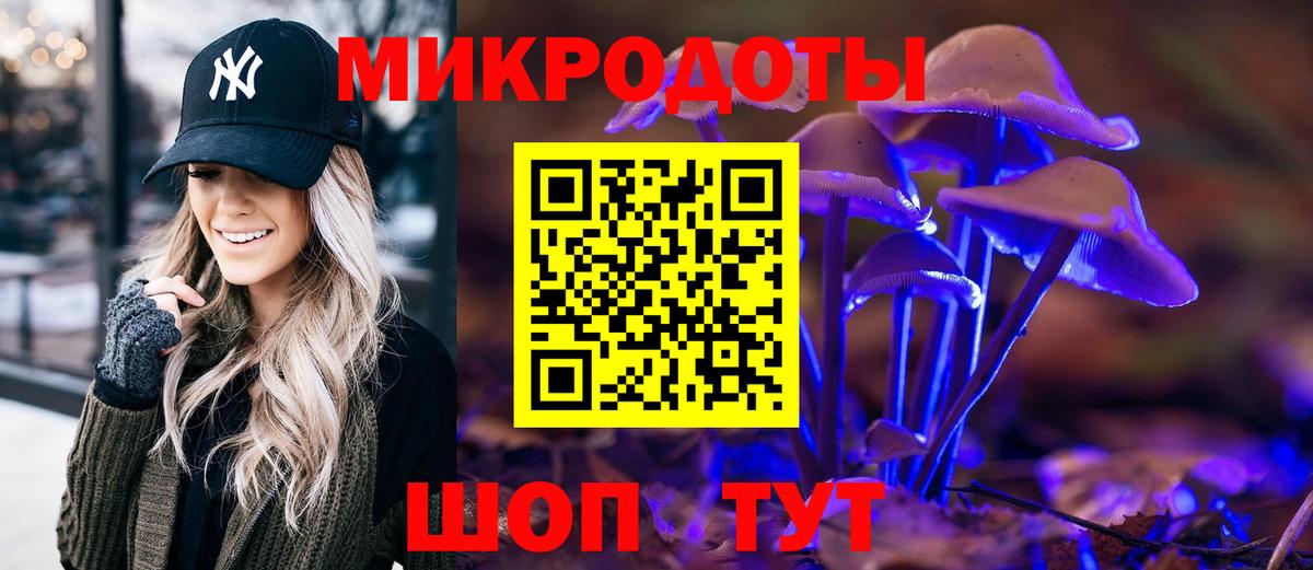 наркота  Галлюциногенные грибы Psilocybine cubensis  Королёв  Вход с VPN  Псилоцибиновые грибы мухоморы 